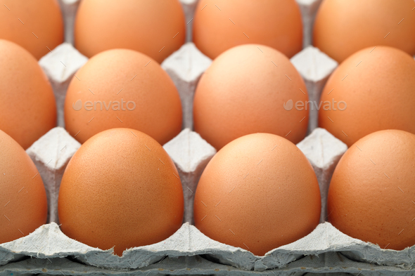Egg in package - Stock Photo - Images
