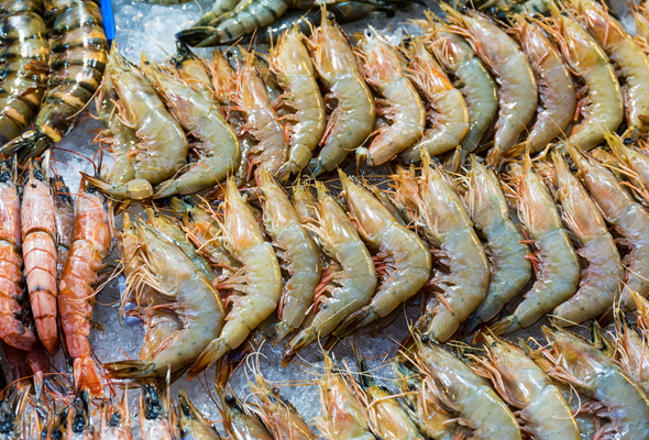 Fresh prawn - Stock Photo - Images