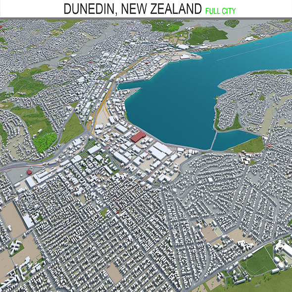 Dunedin city New - 3Docean 28567473
