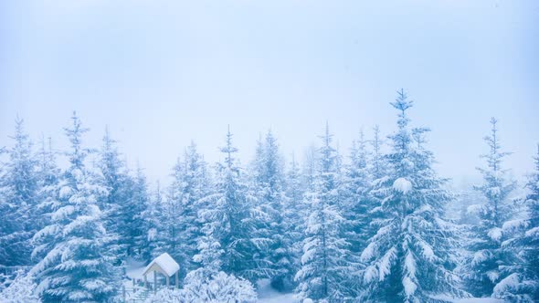 Beautiful Winter Landscape alt
