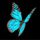 Butterfly Creator - VideoHive Item for Sale