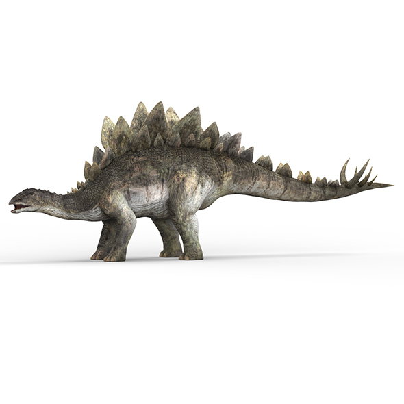 Stegosaurus Dinosaur - 3Docean 28582318