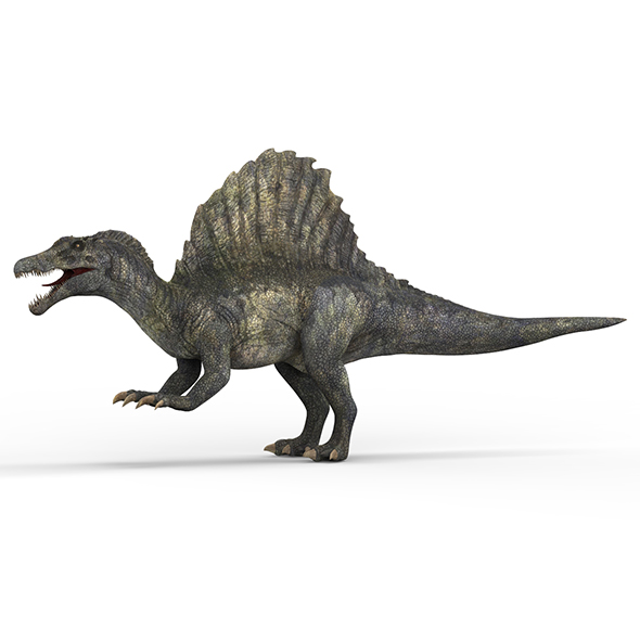 Spinosaurus Dinosaur - 3Docean 28582426