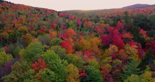 Aerial Video Of The Fall Colors Of Laurentian Mountains Forest In Autumn Season