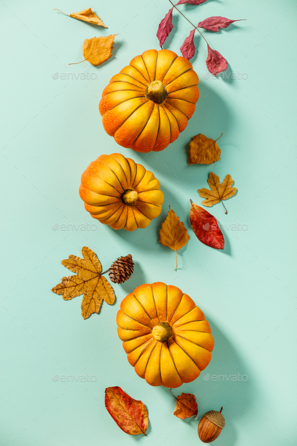 Autumn background creative layout with decorative small pumpkins and autumn leaves - Stock Photo - Images
