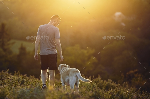 Man with dog walking on meadow at sunset - Stock Photo - Images