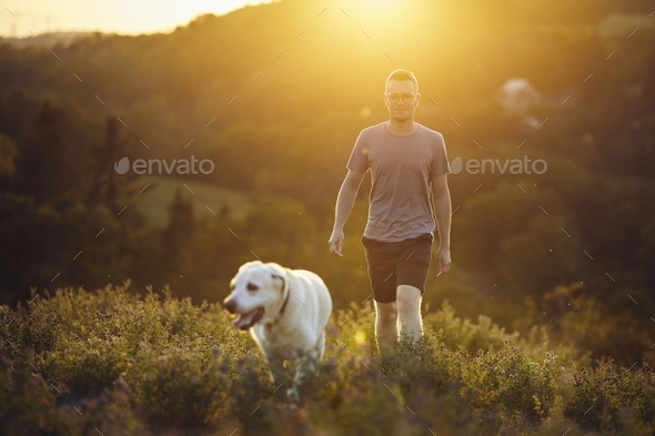Man with dog walking on meadow at sunset - Stock Photo - Images