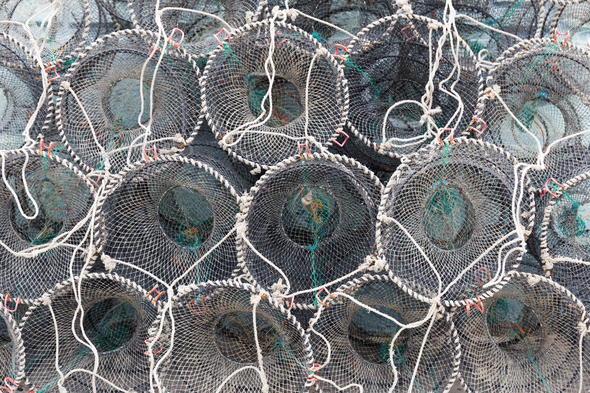 Traps for capture fisheries and seafood - Stock Photo - Images