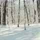 Young man with smart watch or heart tracker running on snow covered winter road in forest - VideoHive Item for Sale