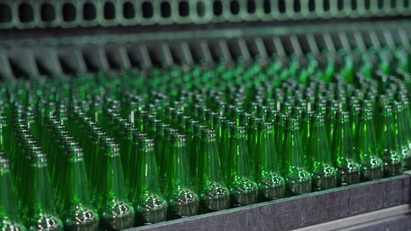Beer Bottles On The Conveyor 2