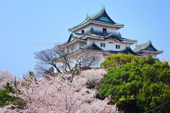 Japanese castle in wakayama - Stock Photo - Images