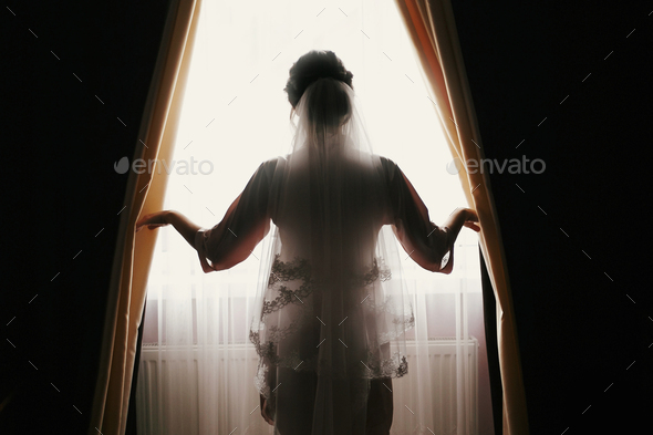 gorgeous bride portrait silhouette near window - Stock Photo - Images