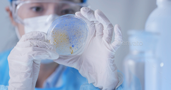 Medical research student using a laboratory pipette and petri dish - Stock Photo - Images