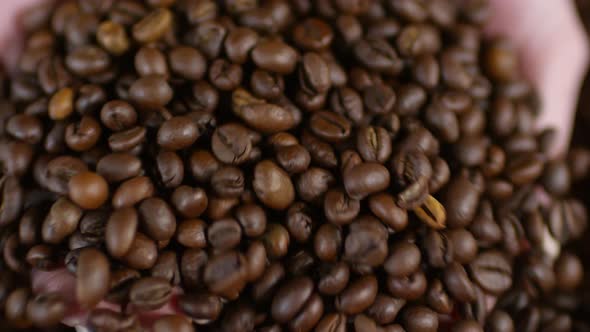 Female Hands Touching Coffee Beans alt