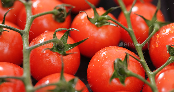 Red cherry tomato - Stock Photo - Images