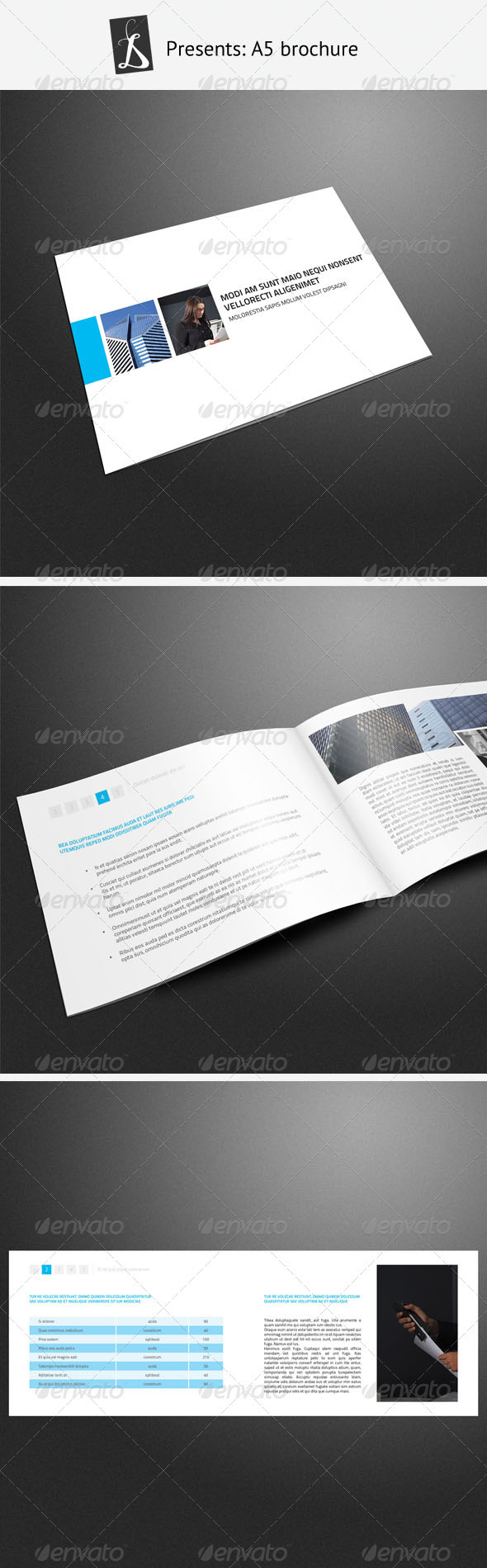 A5 Brochure 3