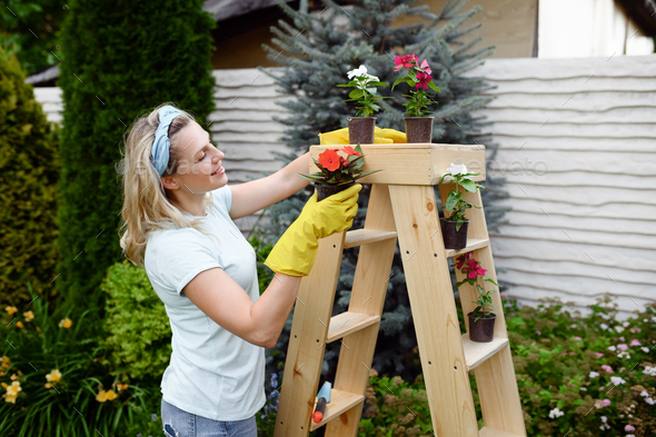 Woman growing flowers in pots in the garden - Stock Photo - Images