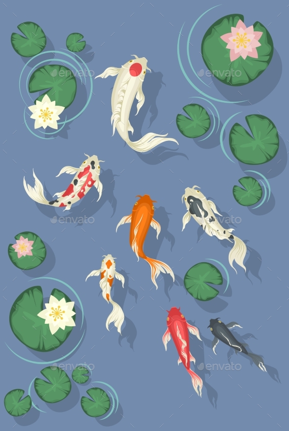 Premium Vector | Japanese koi fish in asian garden pond with leaf and lotus  flower. chinese decorative zen carp swimming in water. above view of orient  aquatic peaceful animal. colored flat vector