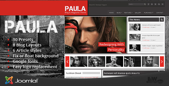 Paula - BlogMagazine - ThemeForest 2652585