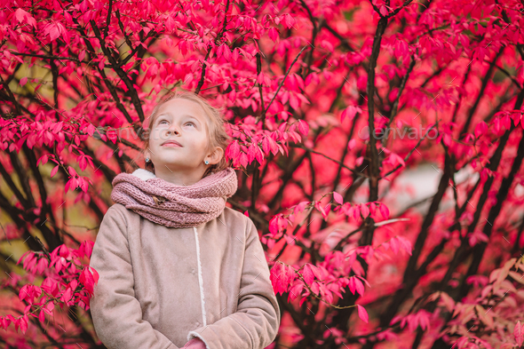Portrait of adorable little girl outdoors at beautiful autumn day - Stock Photo - Images