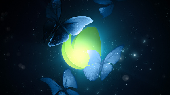 Butterflies in the - VideoHive 28672335