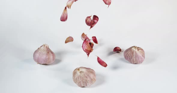 Garlic, allium savitum, Falling against White Background, Slow motion 4K alt