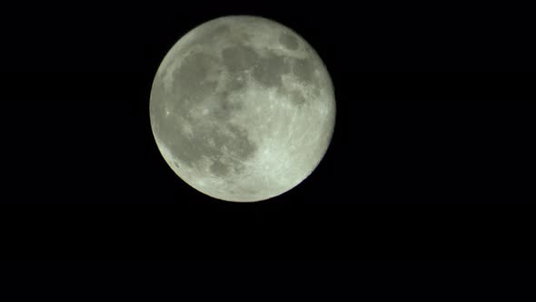Full Moon in the Night Sky alt