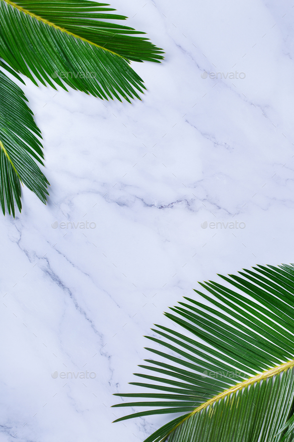 Tropical palm leaves background, vacation summer holiday concept Stock  Photo by antoninavlasova