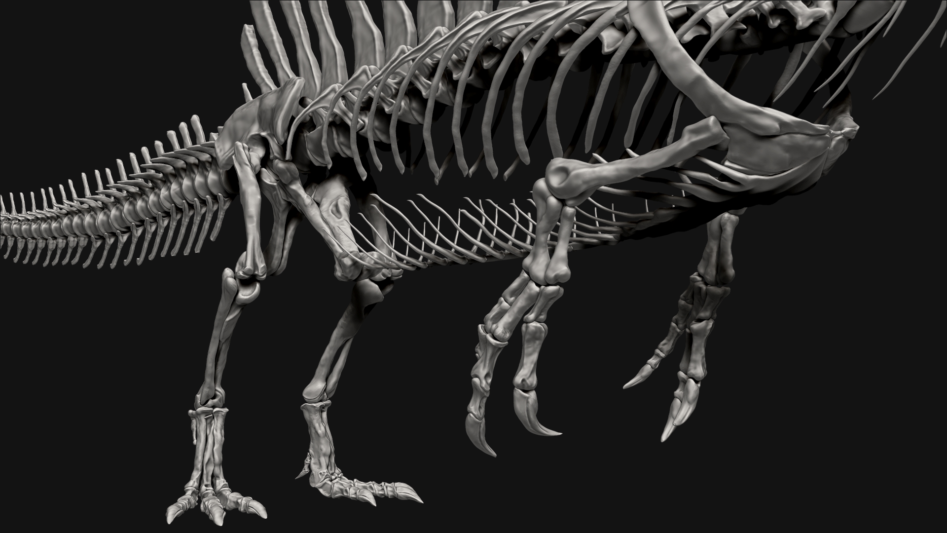 Spinosaurus Full Skeleton Sculpt Model by Racksuz | 3DOcean