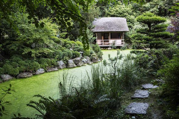 View of small thatched hut among trees in a Japanese Tea Garden with small path along a pond. - Stock Photo - Images