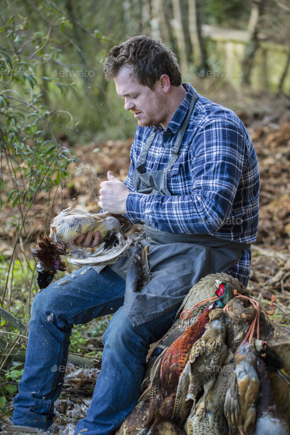 A man sitting on a tree stump plucking feathers from a game bird carcass.