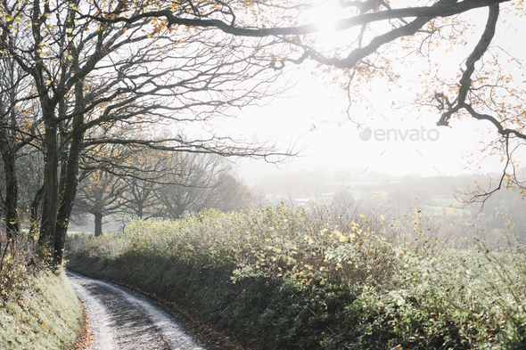 A country lane in winter. - Stock Photo - Images