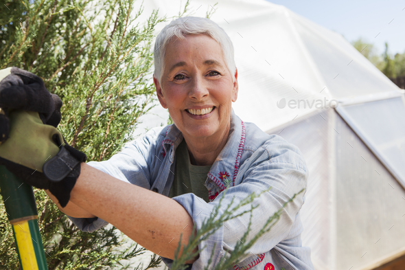 Smiling senior woman gardening in a geodesic dome, climate controlled glass house - Stock Photo - Images