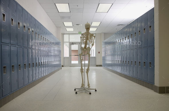 Skeleton in High School Hallway - Stock Photo - Images