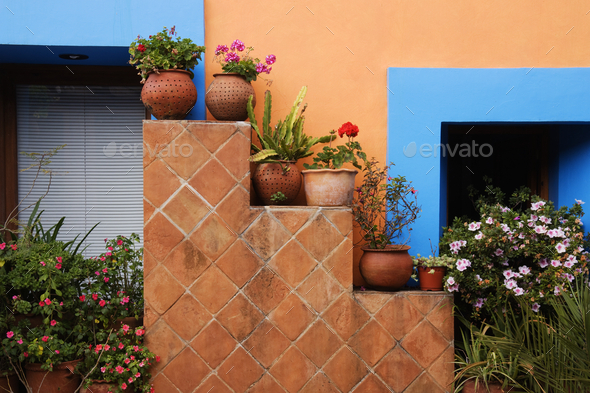 Potted Plants Against Colorful Wall - Stock Photo - Images