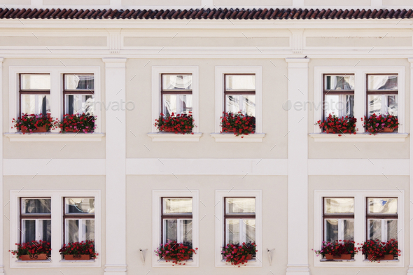 Windows and Window Boxes - Stock Photo - Images