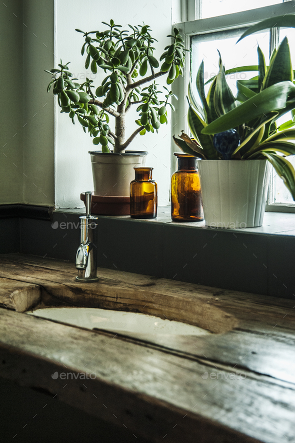 Sink in wooden counter with potted plants in window - Stock Photo - Images