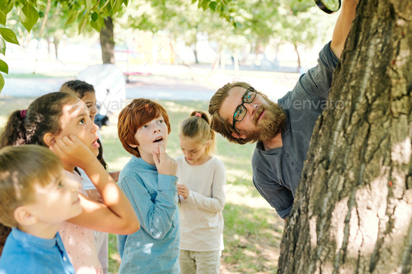 Bearded teacher in glasses using magnifying glass while showing structure of tree bark to kids at outdoor lesson