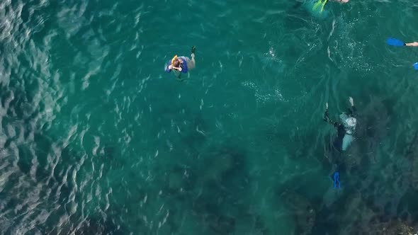 Aerial view of people enjoying a mix of different water activities alt