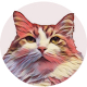 RedCatMusic