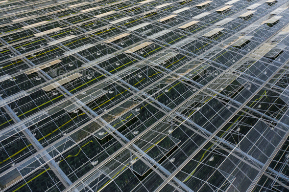 Aerial top view of greenhouse plant