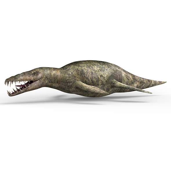 Liopleurodon Dinosaur - 3Docean 28722467