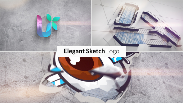 Elegant Sketch Logo Reveal