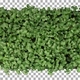 Time-lapse of germinating microgreen rocket seeds with ALPHA channel, top view - VideoHive Item for Sale