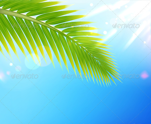 Summer background - Seasons/Holidays Conceptual