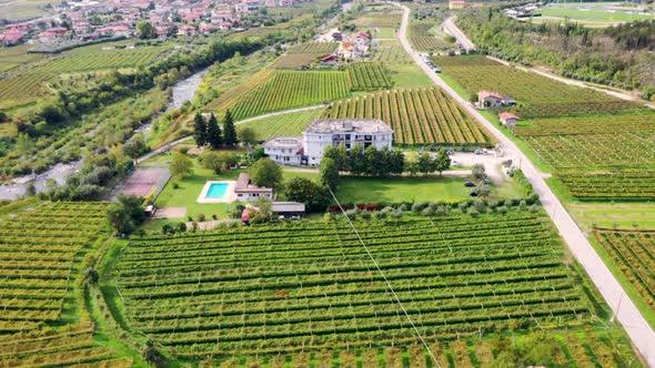 Aerial footage of the Vine plantations in Italy near Garda Lake