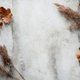 Thanksgiving or Halloween background with dried plants and fallen