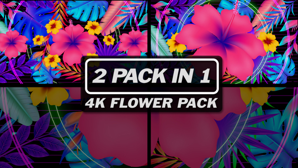 4K Flower Pack 1