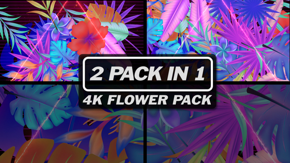 4K Flower Pack 2