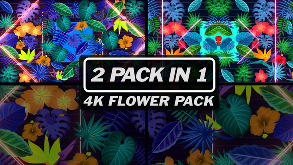4K Flower Pack 4